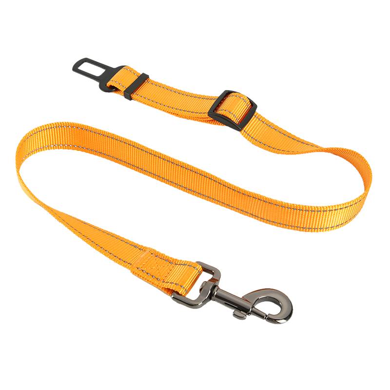 Pure series - Orange